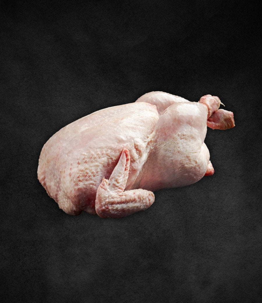Pollo intero - No Antibiotici
